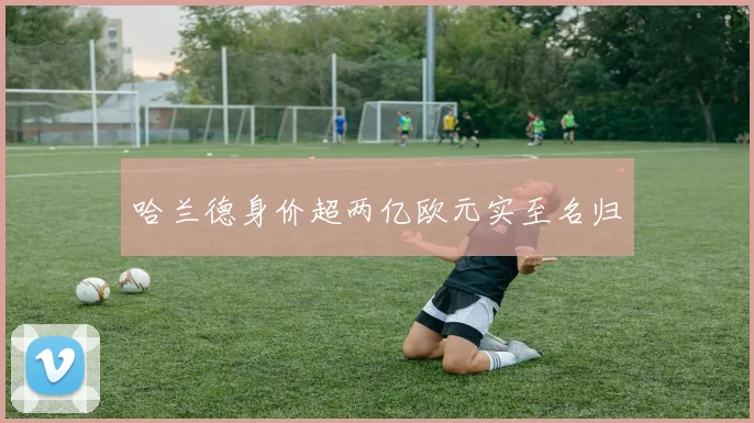 哈兰德身价超两亿欧元实至名归
